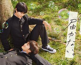 日大逼黄色视频海报剧照